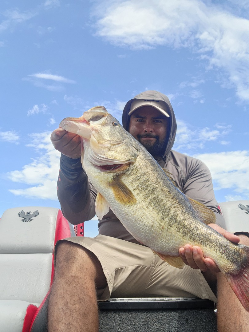 largemouth bass fishing